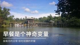 垣曲县 冬日大棚农事忙 豆角丰收促增收